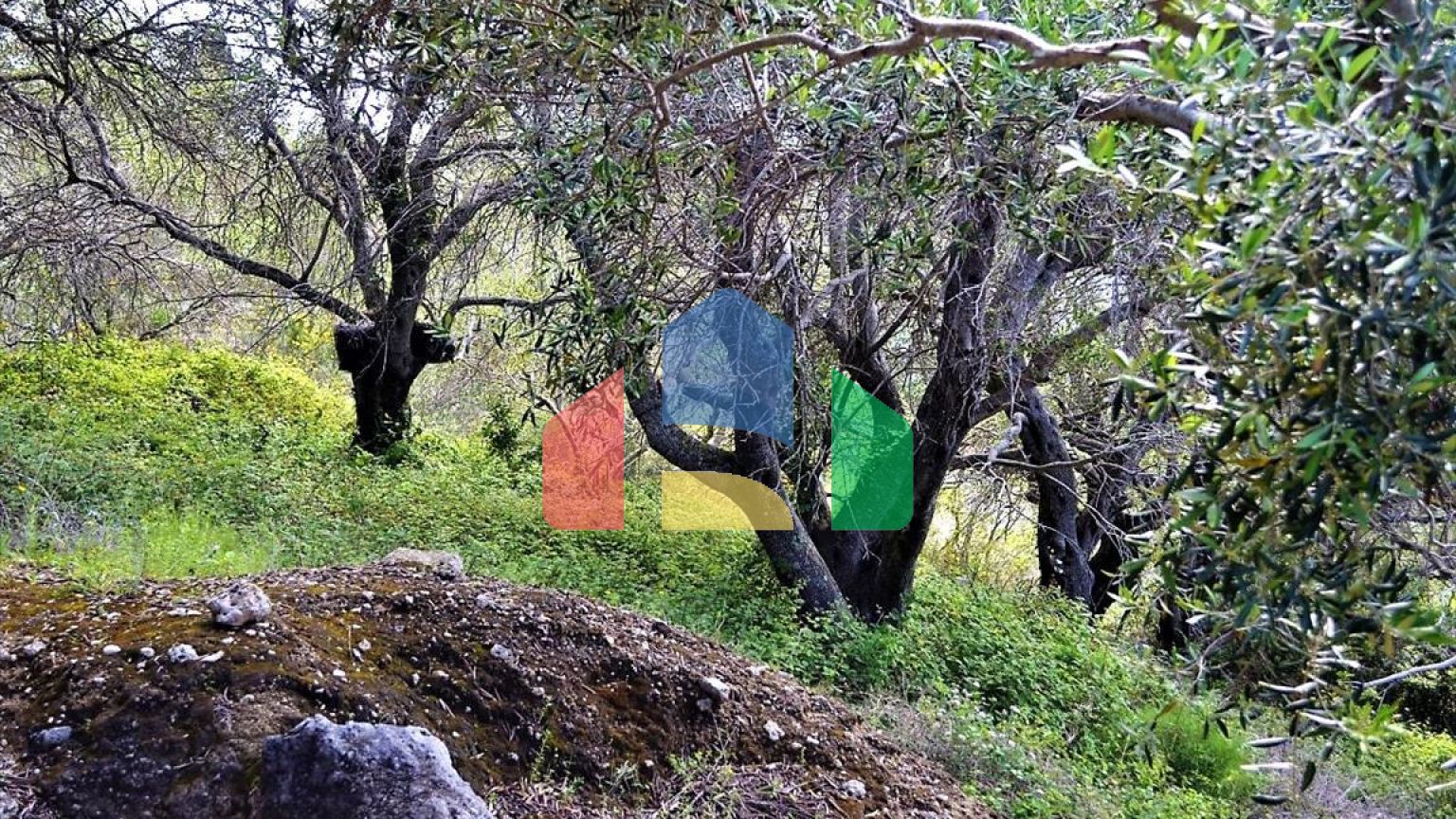 Продажа - Земельный участок 6000 m² на о. Корфу