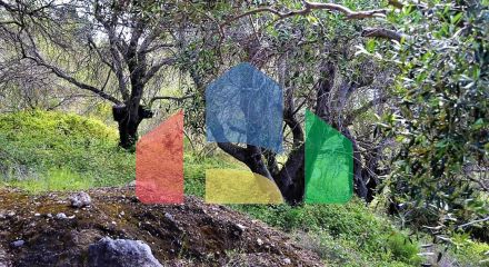 Продажа - Земельный участок 6000 m² на о. Корфу