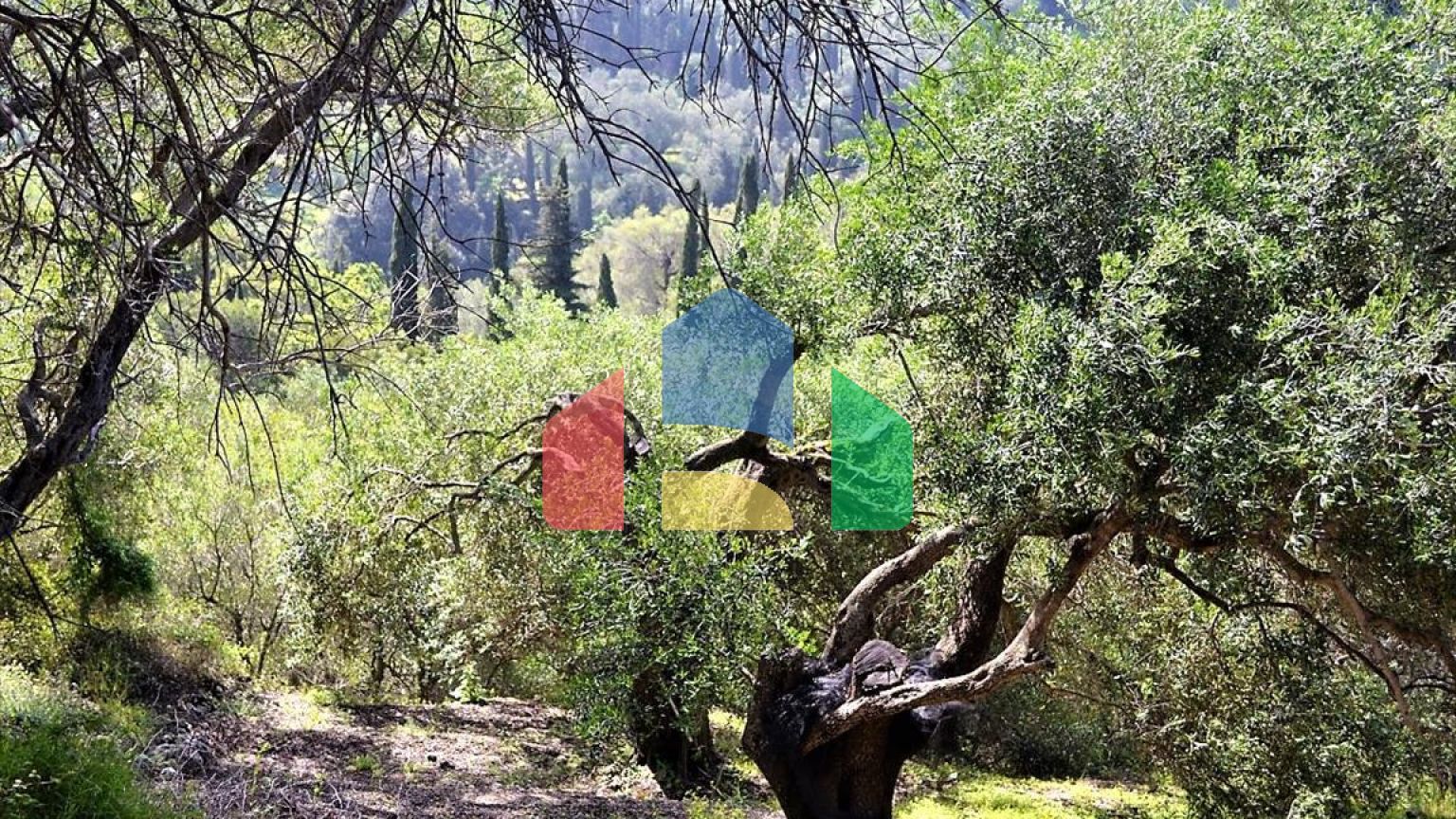 Продажа - Земельный участок 6000 m² на о. Корфу