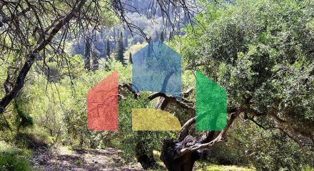 Продажа - Земельный участок 6000 m² на о. Корфу