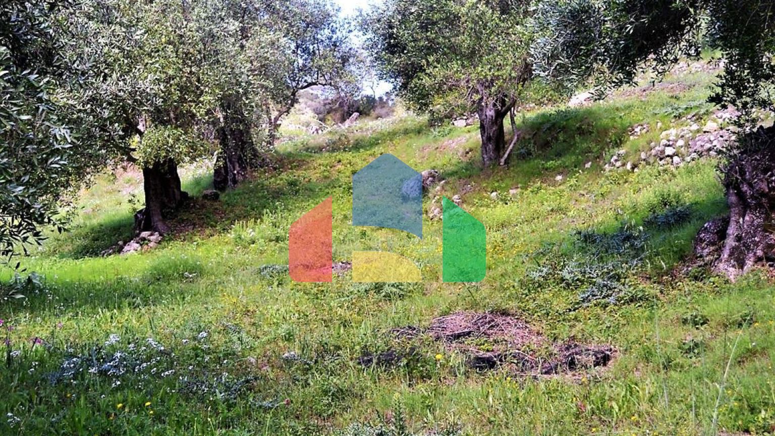 Продажа - Земельный участок 6000 m² на о. Корфу