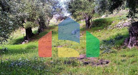 Продажа - Земельный участок 6000 m² на о. Корфу