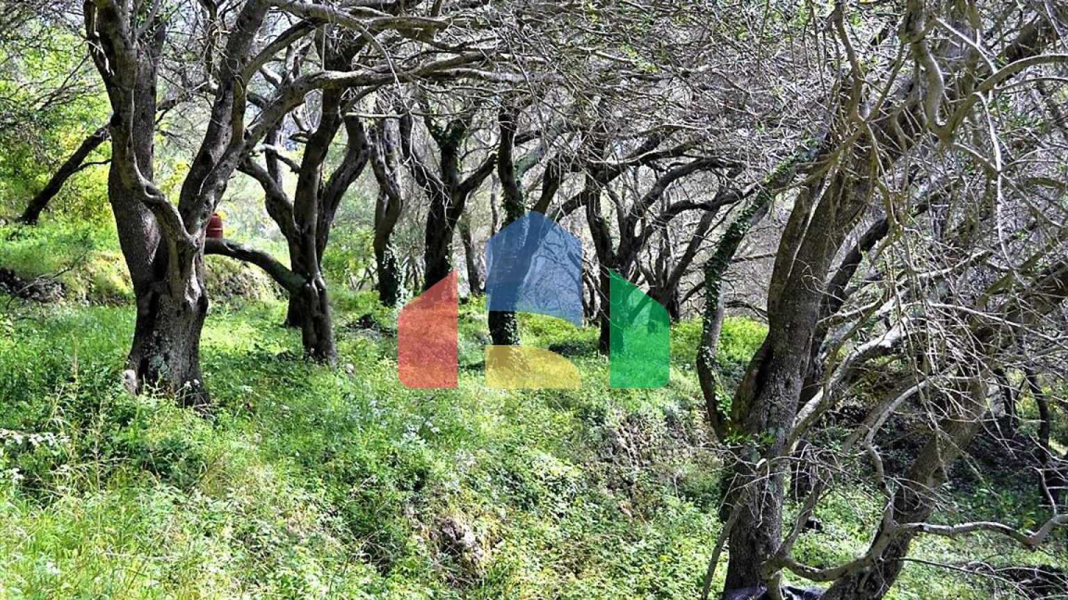 Продажа - Земельный участок 6000 m² на о. Корфу