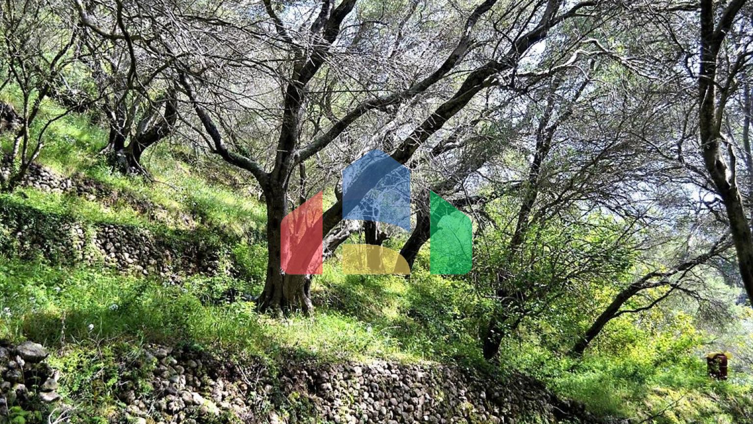 Продажа - Земельный участок 6000 m² на о. Корфу