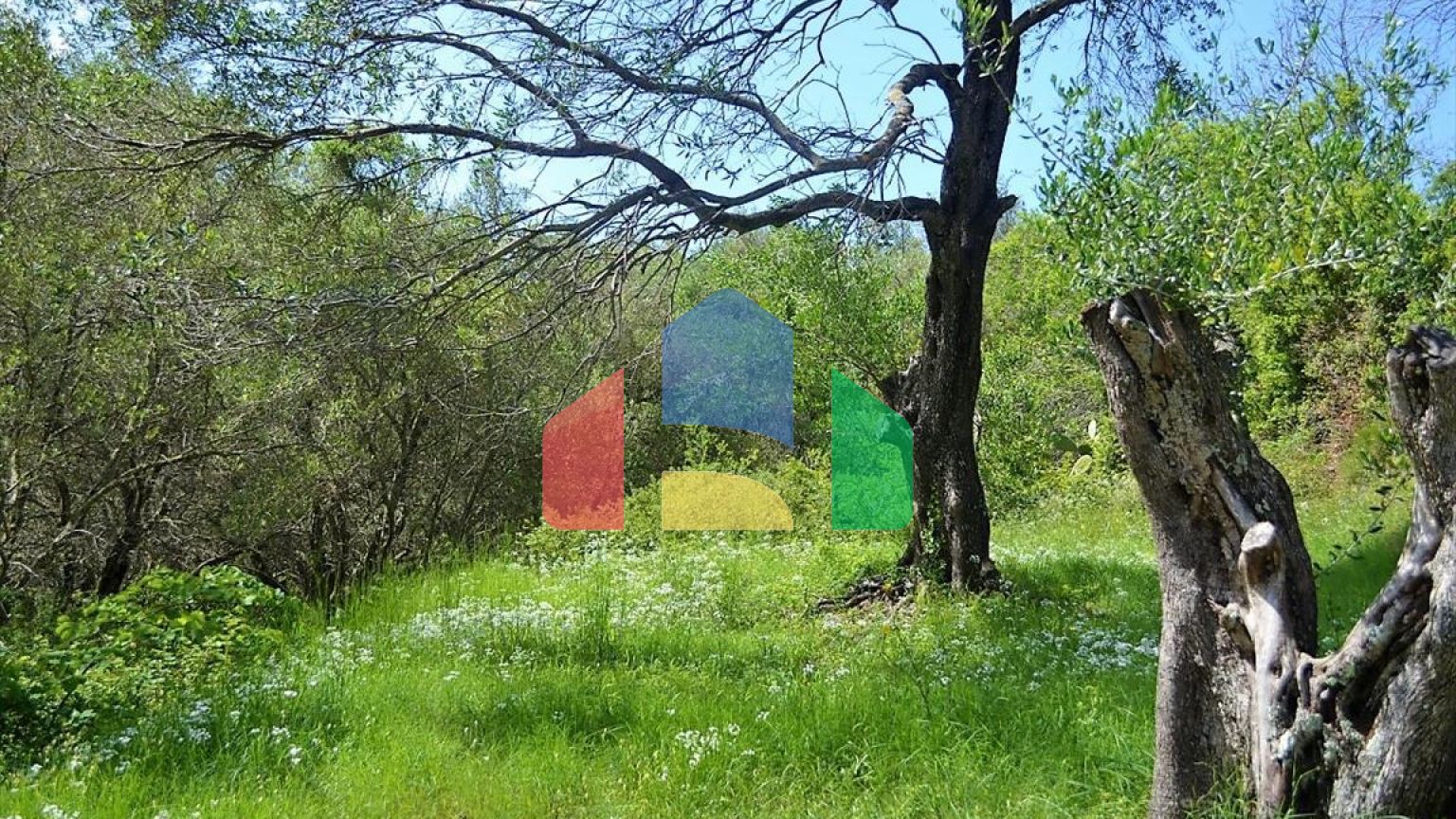 Продажа - Земельный участок 6000 m² на о. Корфу