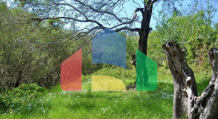 Продажа - Земельный участок 6000 m² на о. Корфу