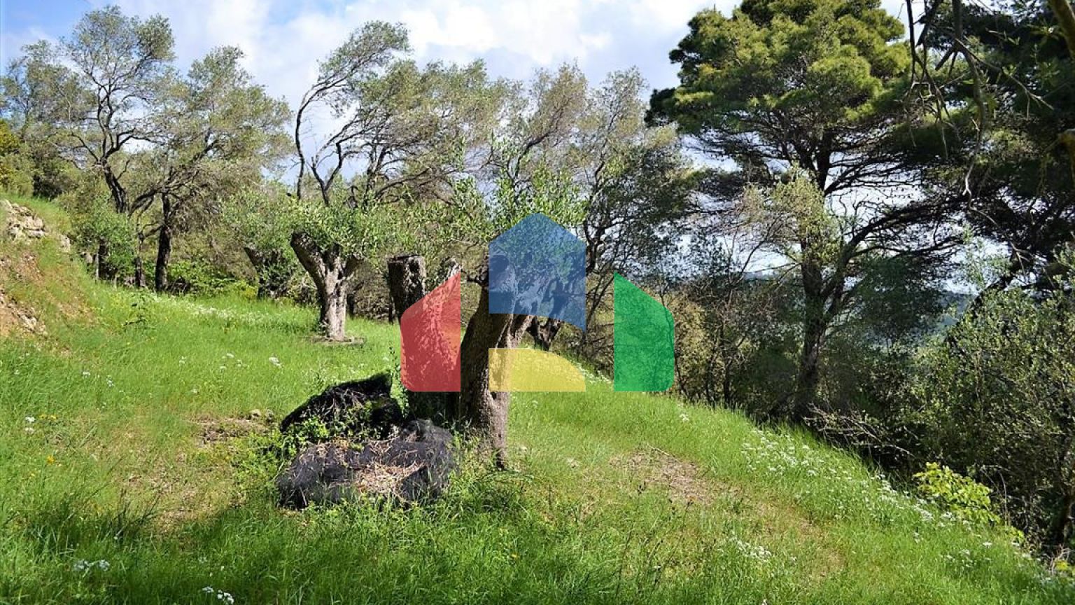 Продажа - Земельный участок 6000 m² на о. Корфу