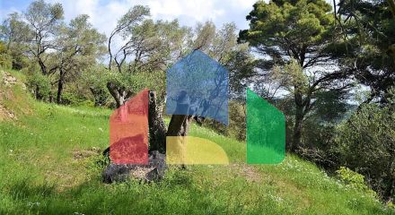 Продажа - Земельный участок 6000 m² на о. Корфу