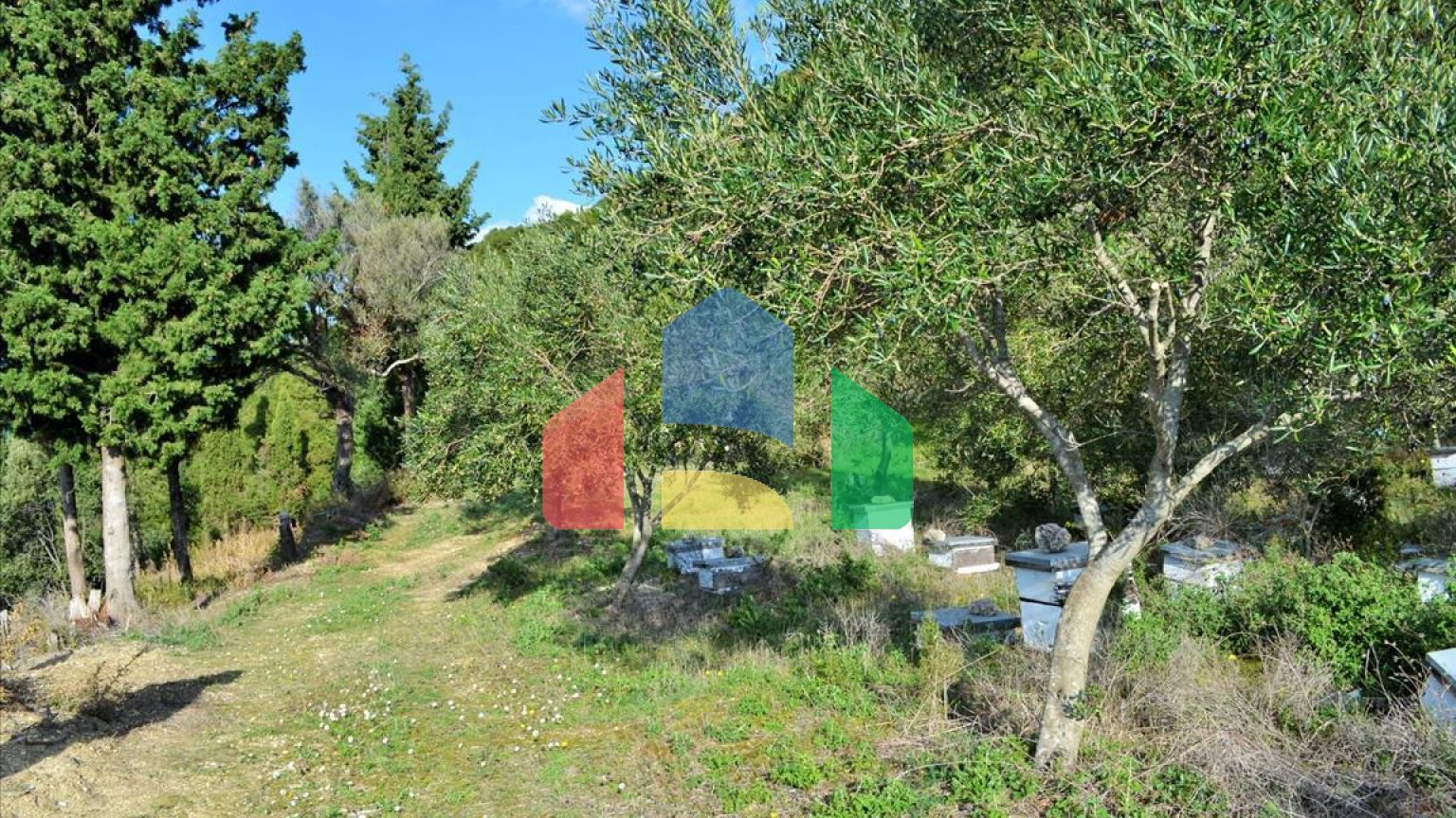 Продажа - Земельный участок 15000 m² на о. Корфу