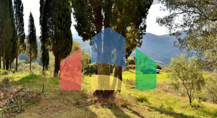 Продажа - Земельный участок 15000 m² на о. Корфу