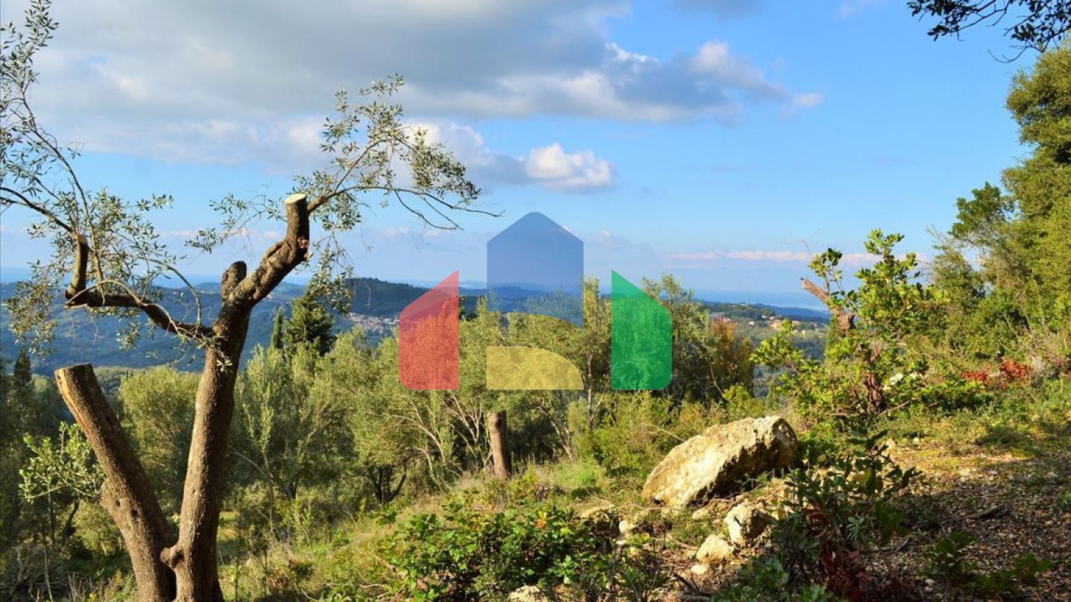 Продажа - Земельный участок 15000 m² на о. Корфу