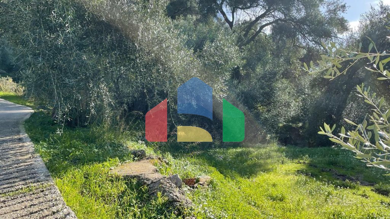 Продажа - Земельный участок 4000 m² на о. Корфу