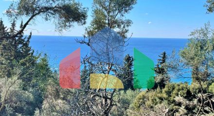 Продажа - Земельный участок 4000 m² на о. Корфу