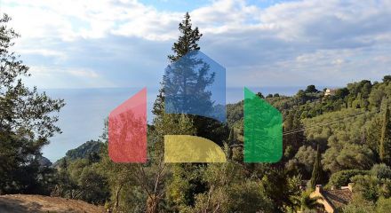 For Sale - Land 5200 m² in Corfu
