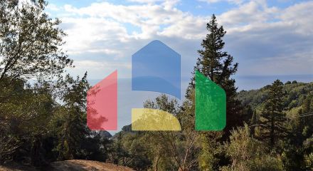 For Sale - Land 5200 m² in Corfu
