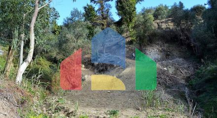 For Sale - Land 5200 m² in Corfu