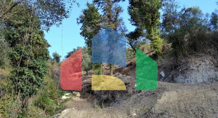 For Sale - Land 5200 m² in Corfu