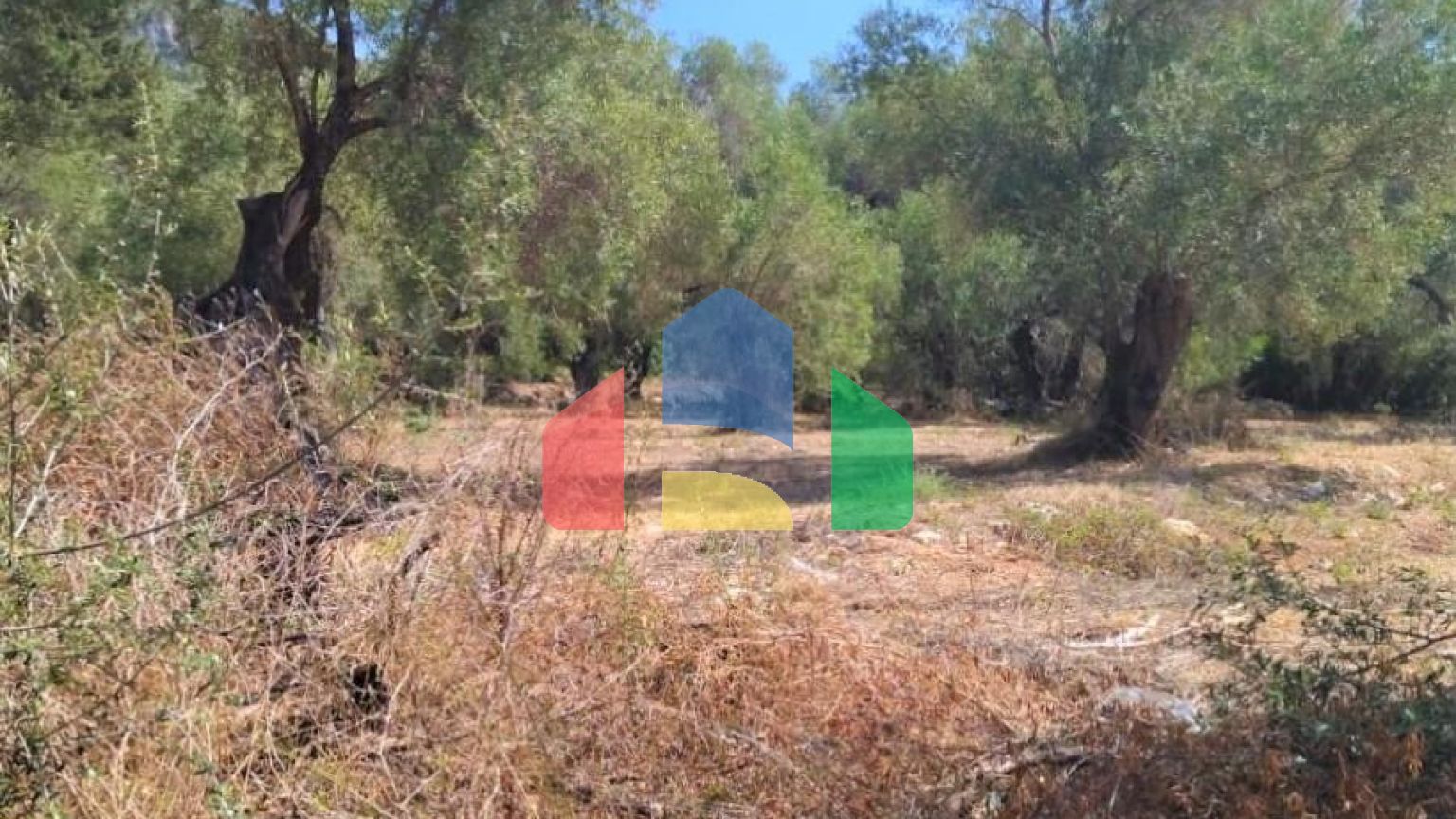 Продажа - Земельный участок 6000 m² на о. Корфу