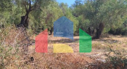 Продажа - Земельный участок 6000 m² на о. Корфу