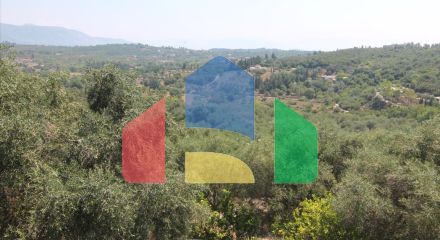 Продажа - Гостиница 580 m² на о. Корфу Продажа - Гостиница 580 m² на о. Корфу