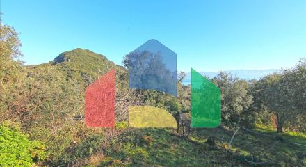 For Sale - Land 2415 m² in Corfu