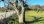 For Sale - Land 3675 m² in Corfu