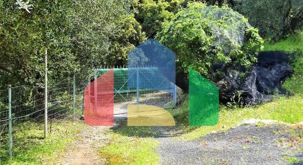 For Sale - Land 7000 m² in Corfu