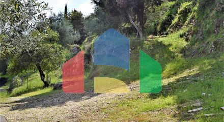 For Sale - Land 7000 m² in Corfu