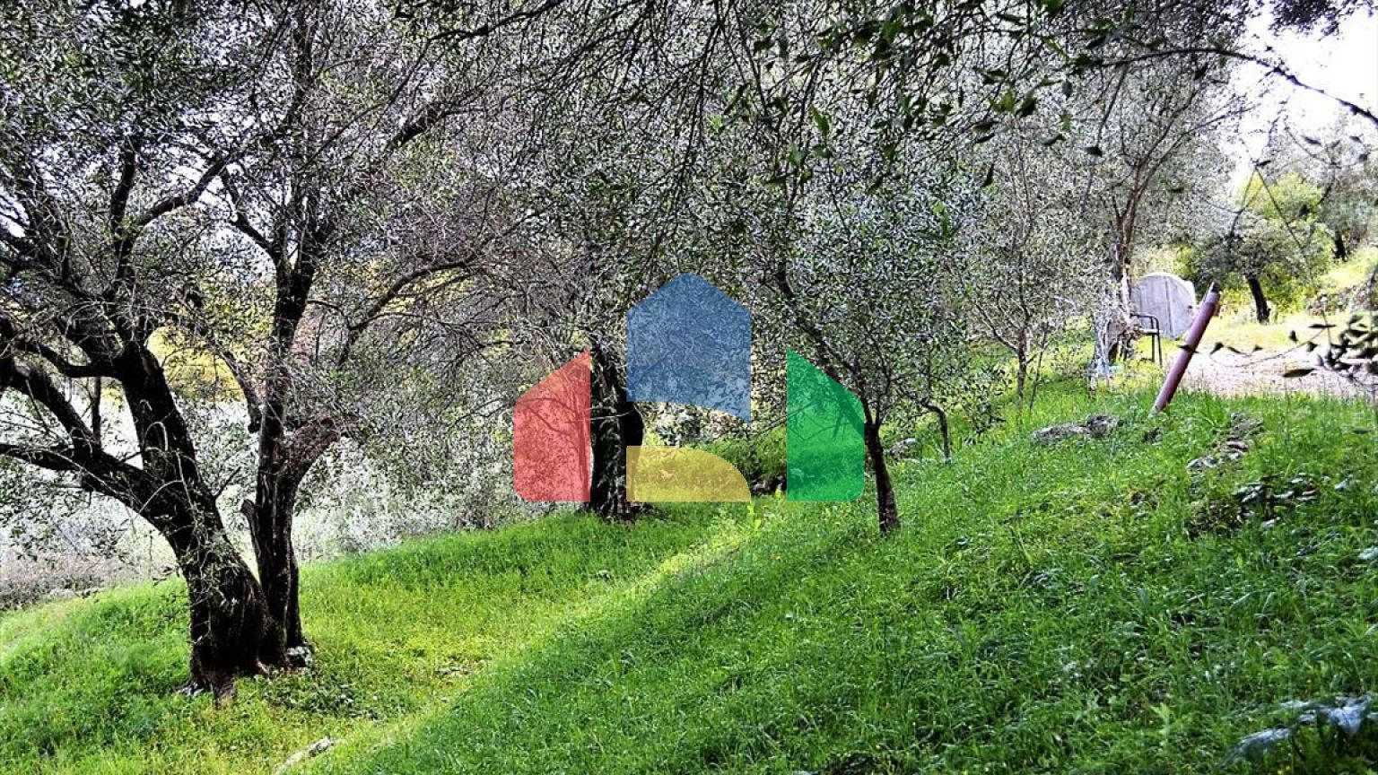 Продажа - Земельный участок 7000 m² на о. Корфу