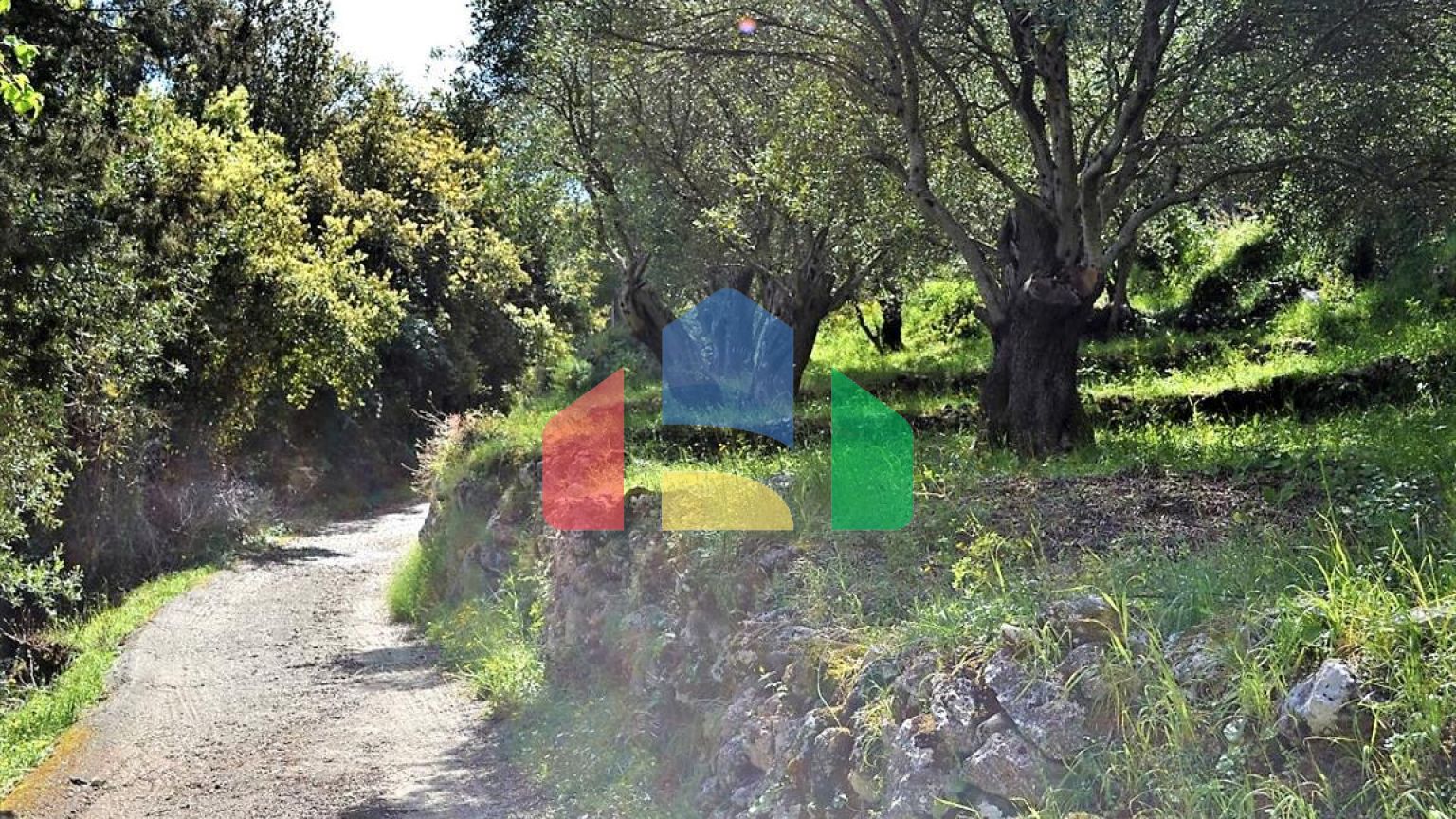 Продажа - Земельный участок 7000 m² на о. Корфу