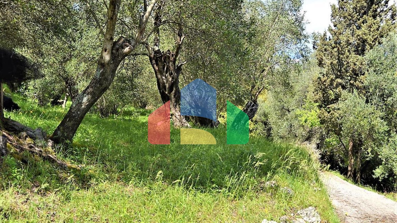 Продажа - Земельный участок 7000 m² на о. Корфу