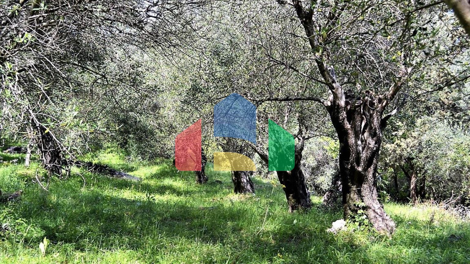 Продажа - Земельный участок 7000 m² на о. Корфу