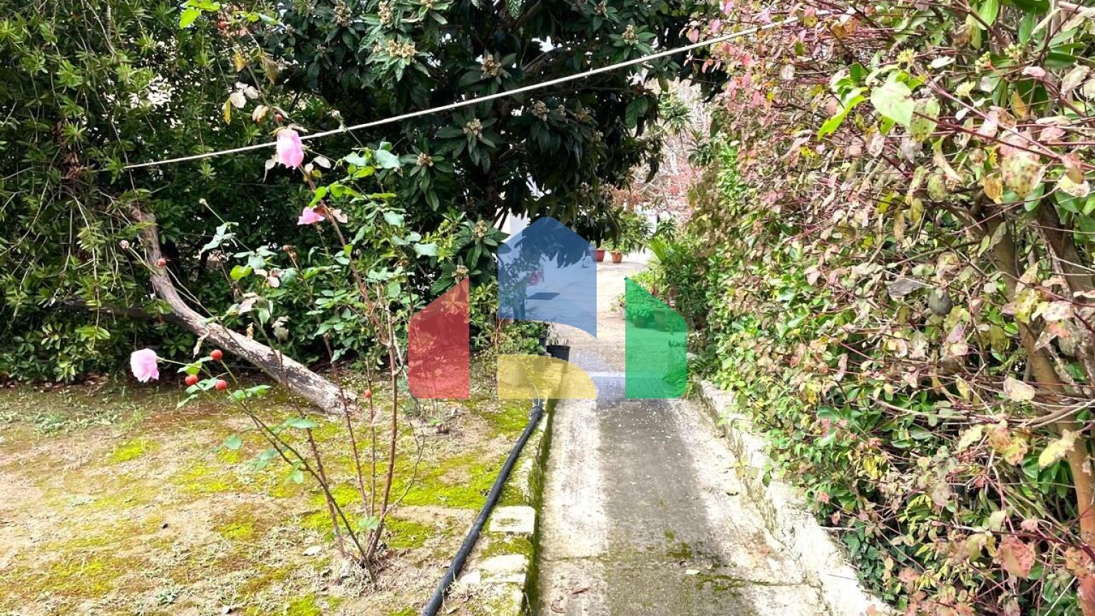 Продаж - Котедж 69 m² на о. Корфу