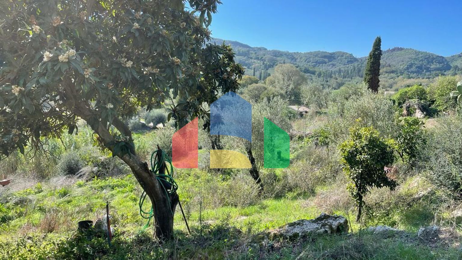 Продажа - Земельный участок 5500 m² на о. Корфу