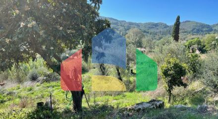 Продажа - Земельный участок 5500 m² на о. Корфу