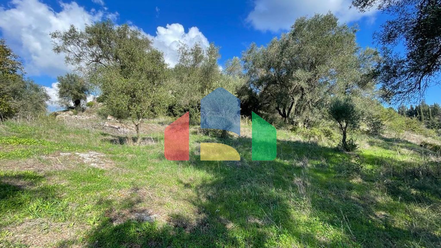 Продажа - Земельный участок 5500 m² на о. Корфу