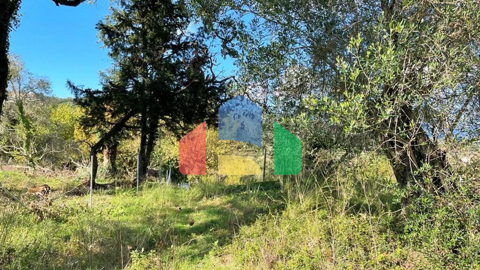 Продажа - Земельный участок 5500 m² на о. Корфу