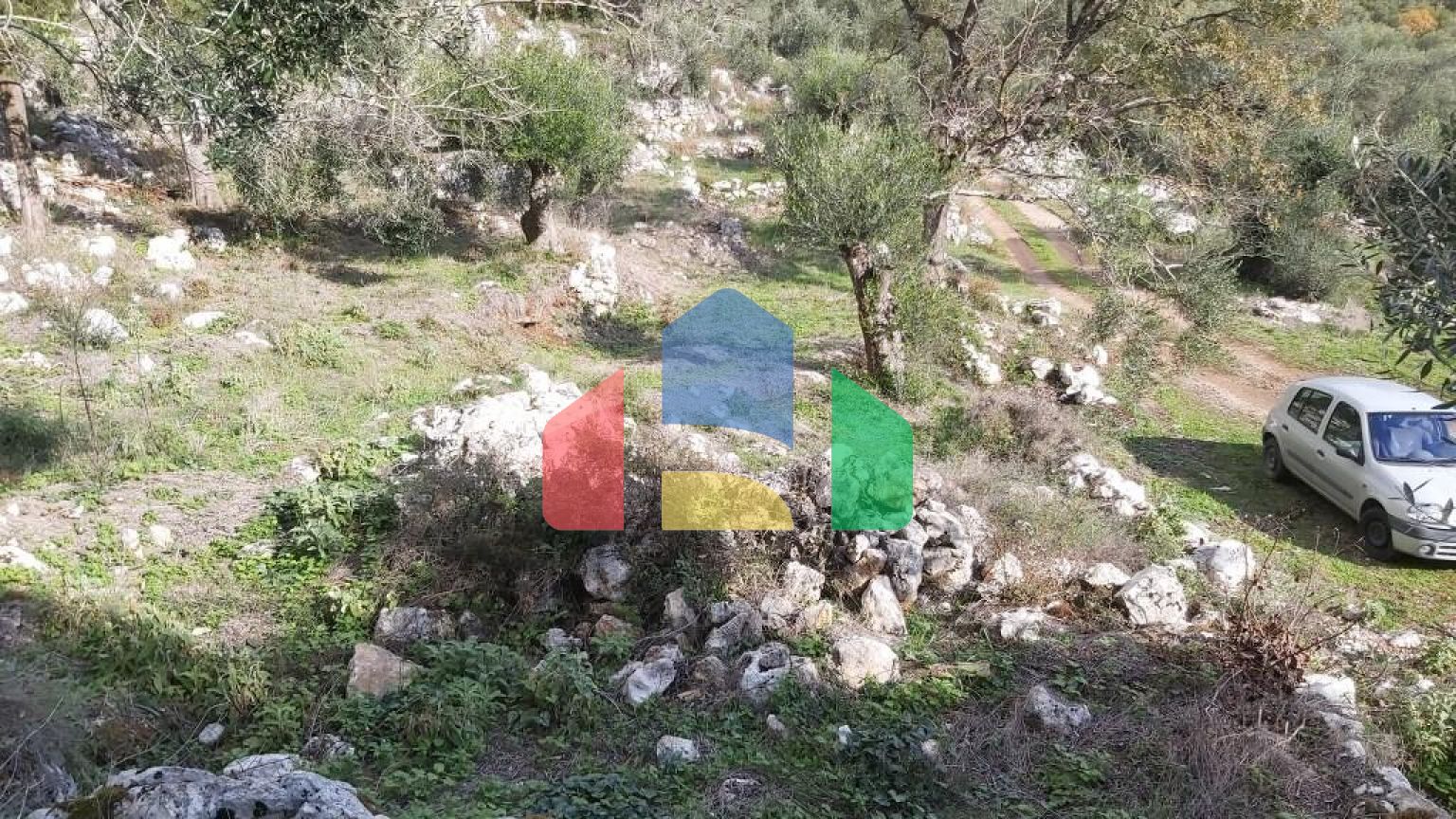 Продажа - Земельный участок 9500 m² на о. Корфу