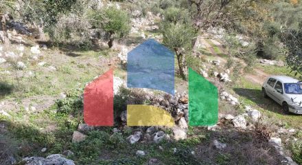 Продажа - Земельный участок 9500 m² на о. Корфу