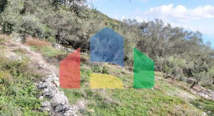 Продажа - Земельный участок 9500 m² на о. Корфу