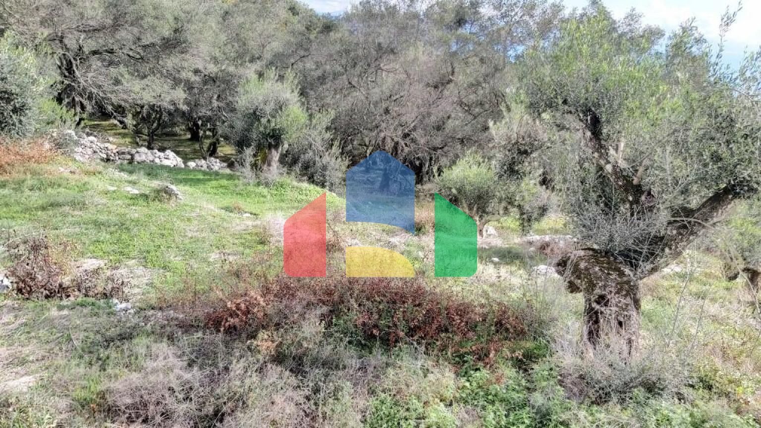 Продажа - Земельный участок 9500 m² на о. Корфу