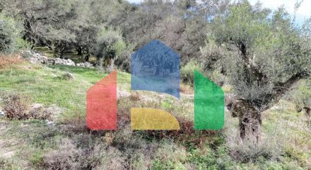 Продажа - Земельный участок 9500 m² на о. Корфу