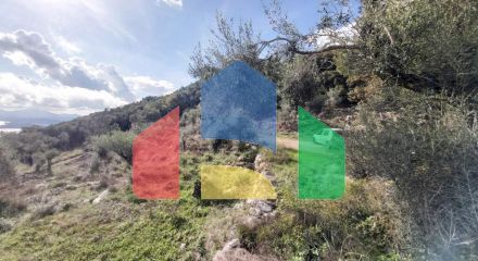 Продажа - Земельный участок 9500 m² на о. Корфу