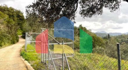 Продажа - Земельный участок 8000 m² на о. Корфу