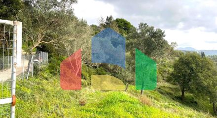 Продажа - Земельный участок 8000 m² на о. Корфу