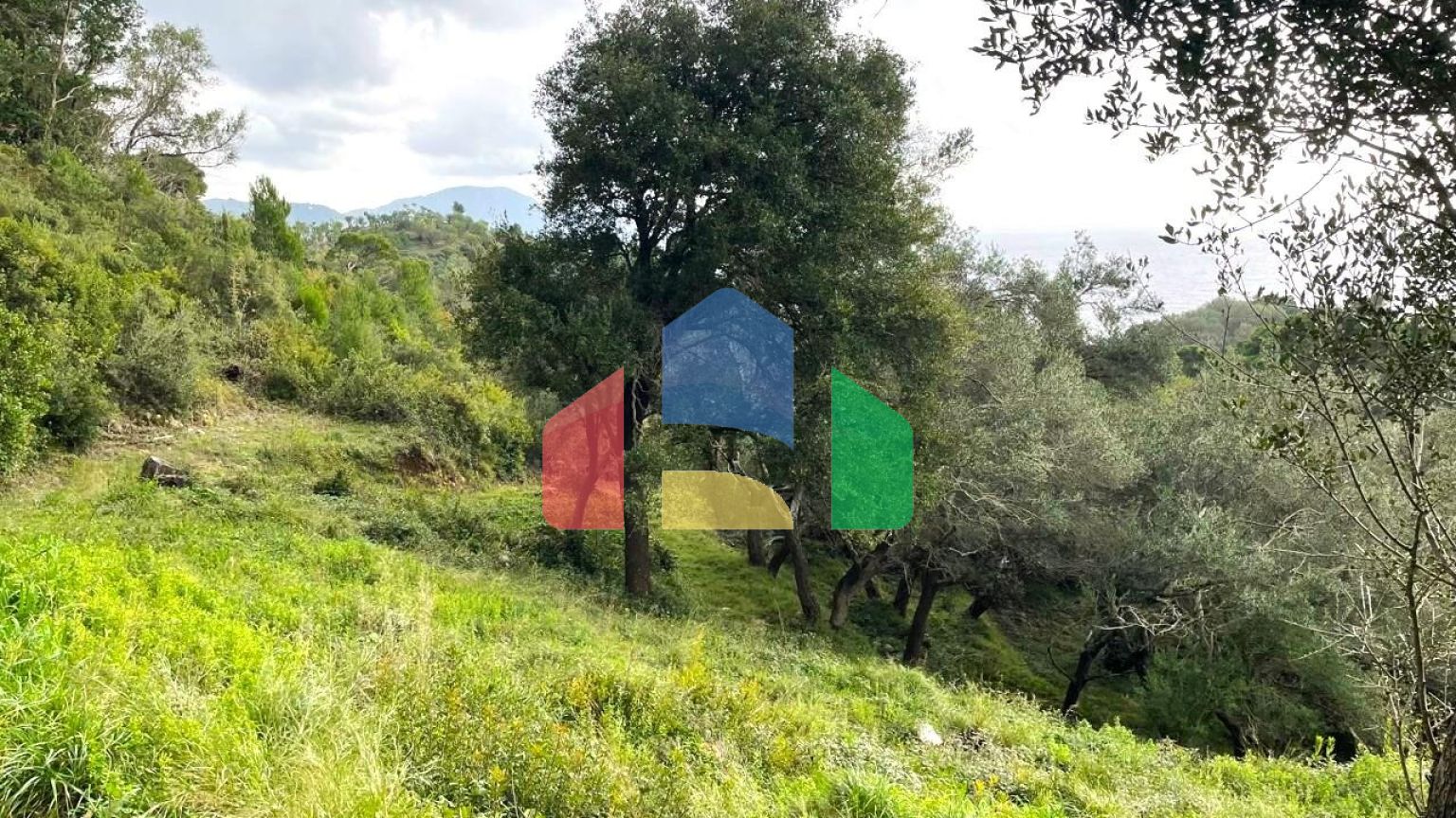 Продажа - Земельный участок 8000 m² на о. Корфу