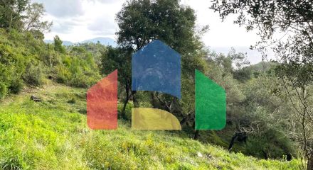 Продажа - Земельный участок 8000 m² на о. Корфу