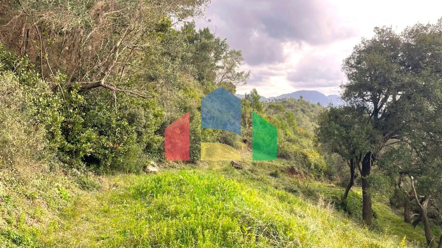 Продажа - Земельный участок 8000 m² на о. Корфу