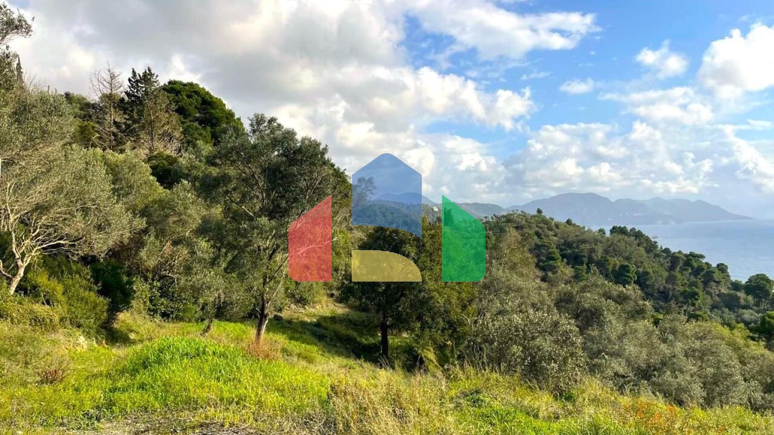 Продажа - Земельный участок 8000 m² на о. Корфу