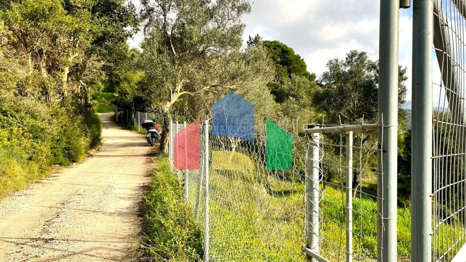 Продажа - Земельный участок 8000 m² на о. Корфу